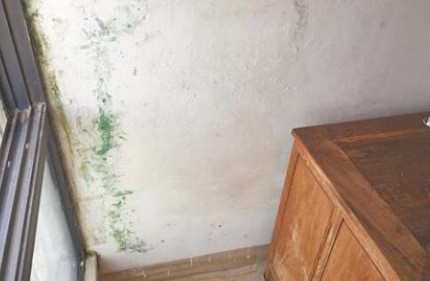 金屬屋面檐口滲水應該怎么解決？家用防水涂料這幾點一定要注意