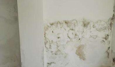 金屬屋面檐口滲水應該怎么解決？家用防水涂料這幾點一定要注意